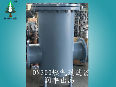 DN300-600大口径燃气过滤器